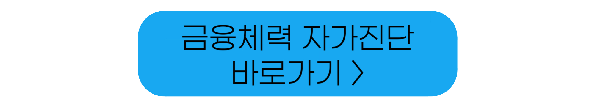 금융체력 자가진단