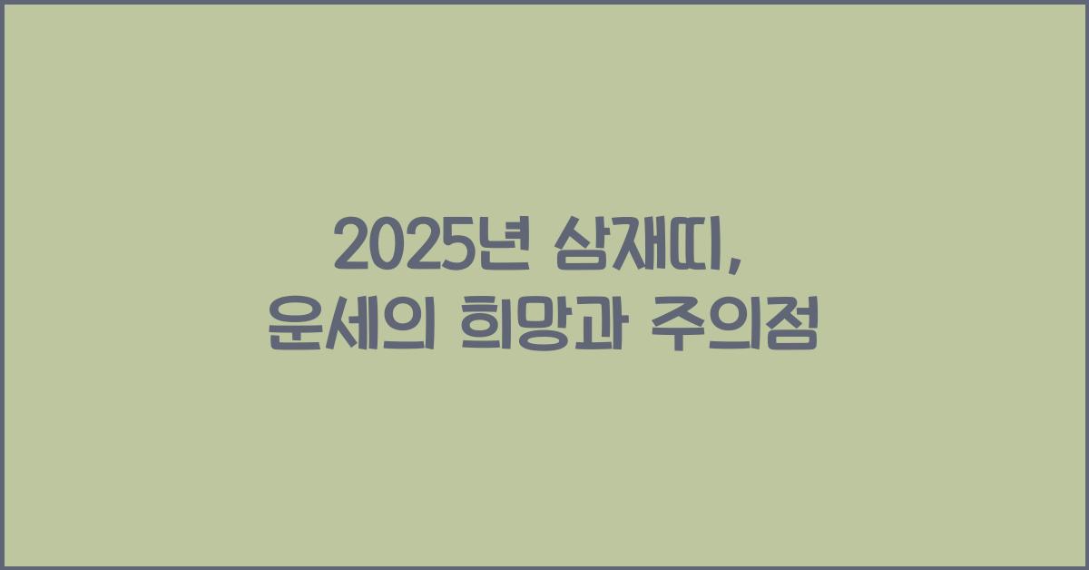 2025년 삼재띠