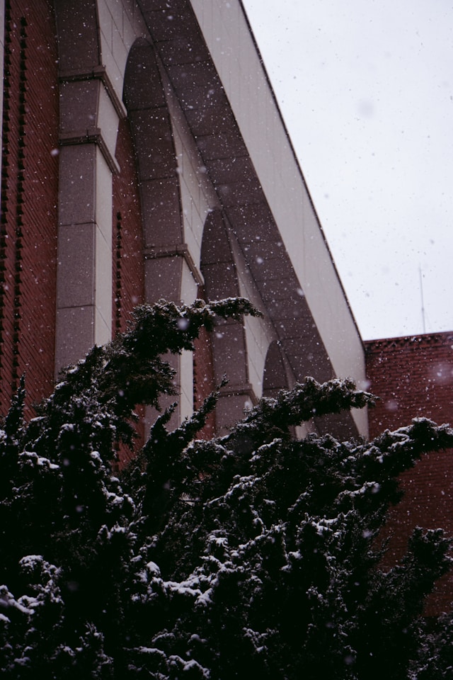 한파 대설 특보 동시 발령 필수 대처법