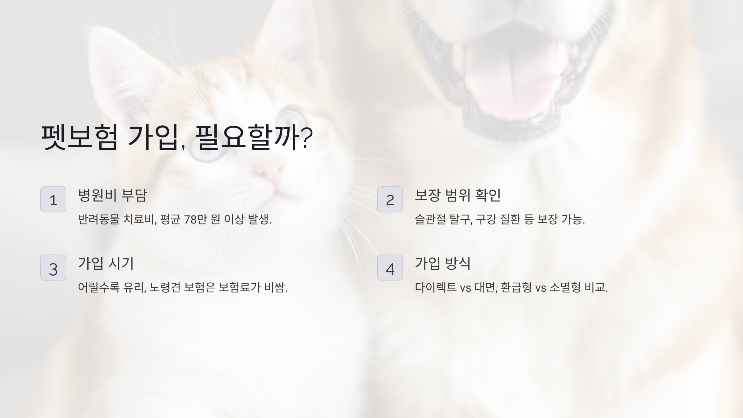 펫보험, 가입할까 말까? 실제 사례와 비용 비교