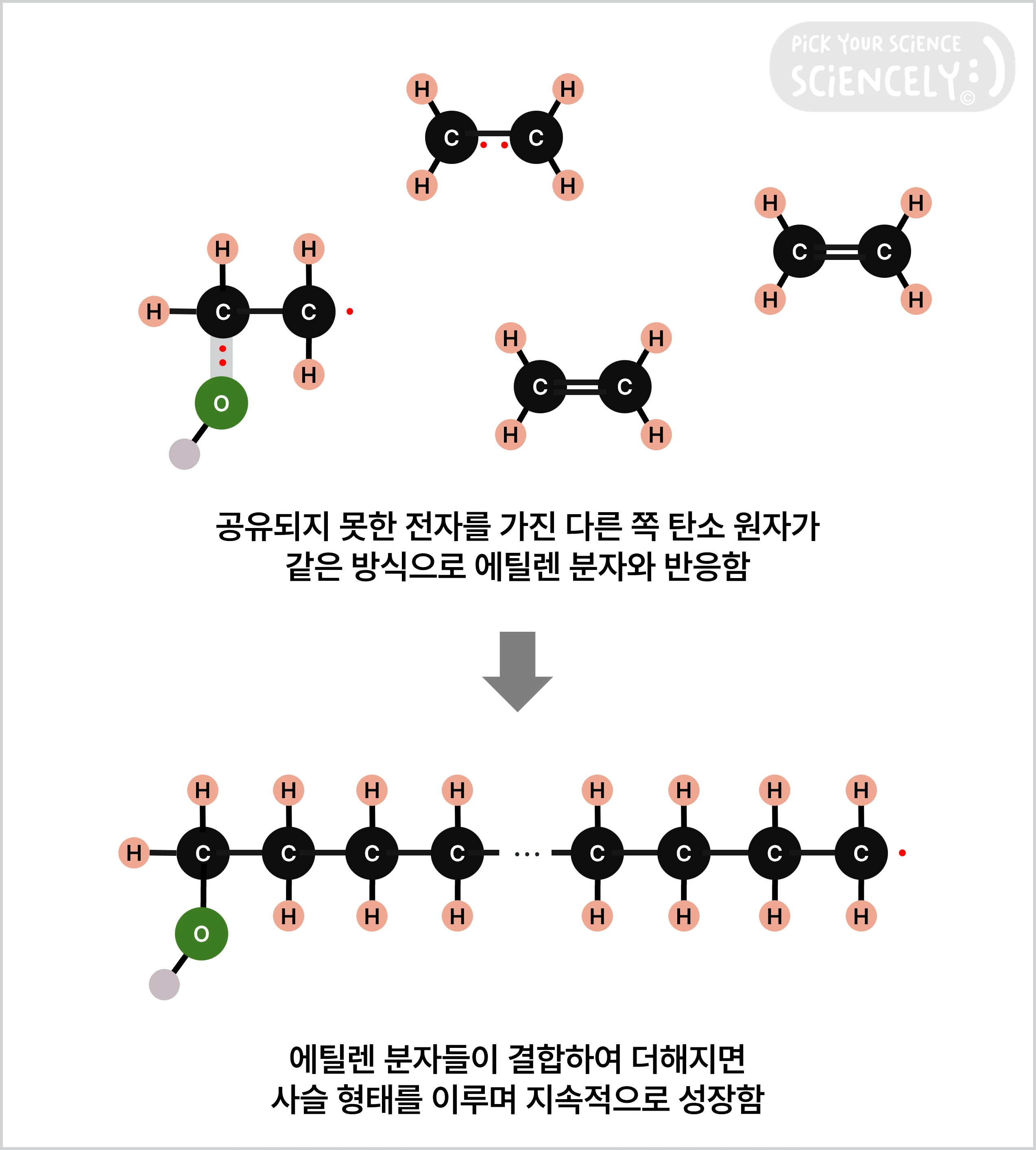 폴리에틸렌 형성 과정, 성장(propagation), 과산화물 개시제, 과산화물 라디칼, 에틸렌, 사슬 구조