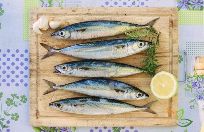 오메가3가 풍부한 등푸른 생선 고등어와 허브, 마늘, 레몬 조합 VIA CANVA