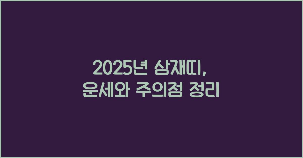 2025년 삼재띠