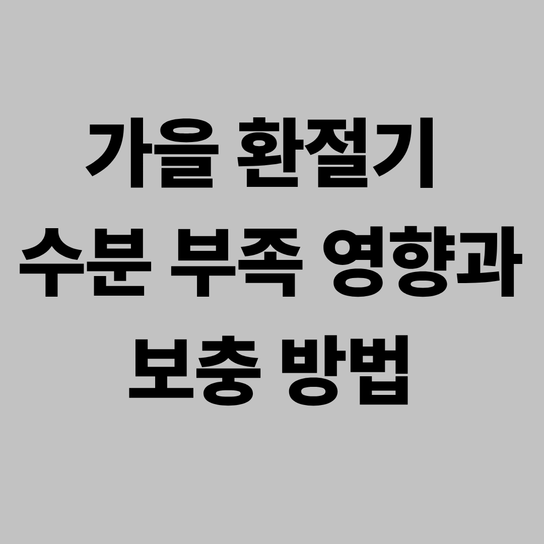 가을 환절기 수분 부족 영향과 보충 방법