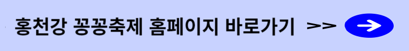 홍천강 꽁꽁축제 홈페이지