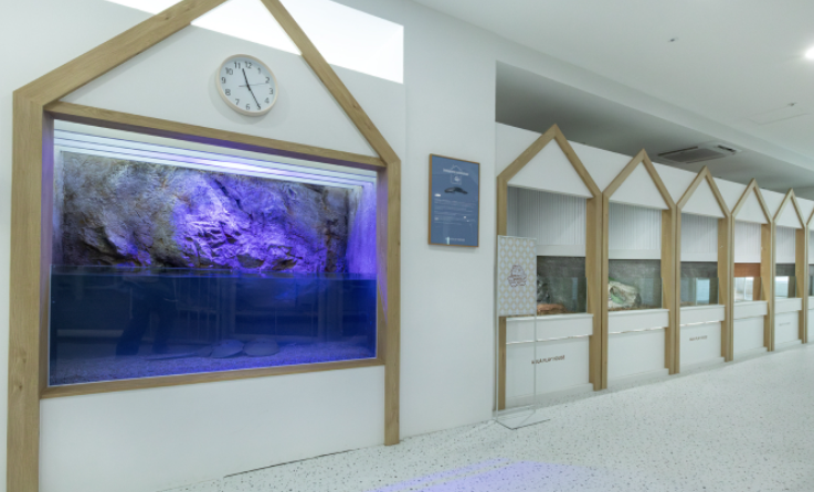 부산 명지 아쿠아 키즈카페 아쿠아플레이하우스