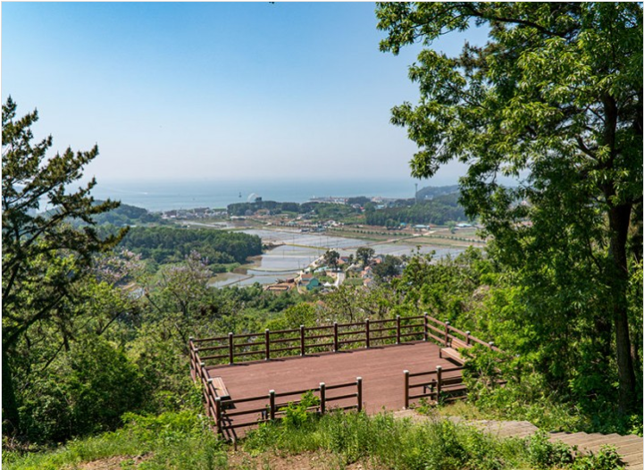 무창포 쭈꾸미 도다리 축제 주변 광광지 무창포둘레길사진