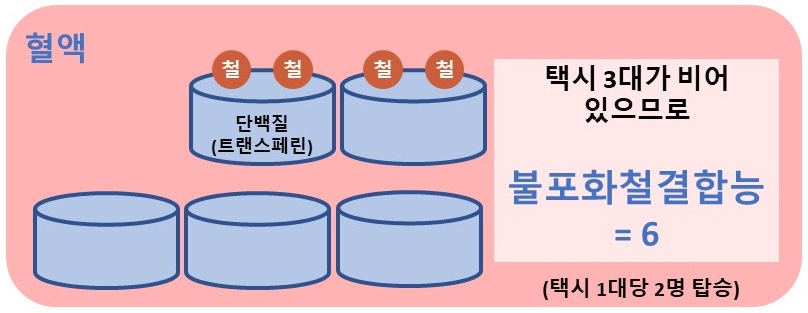 불포화철결합능