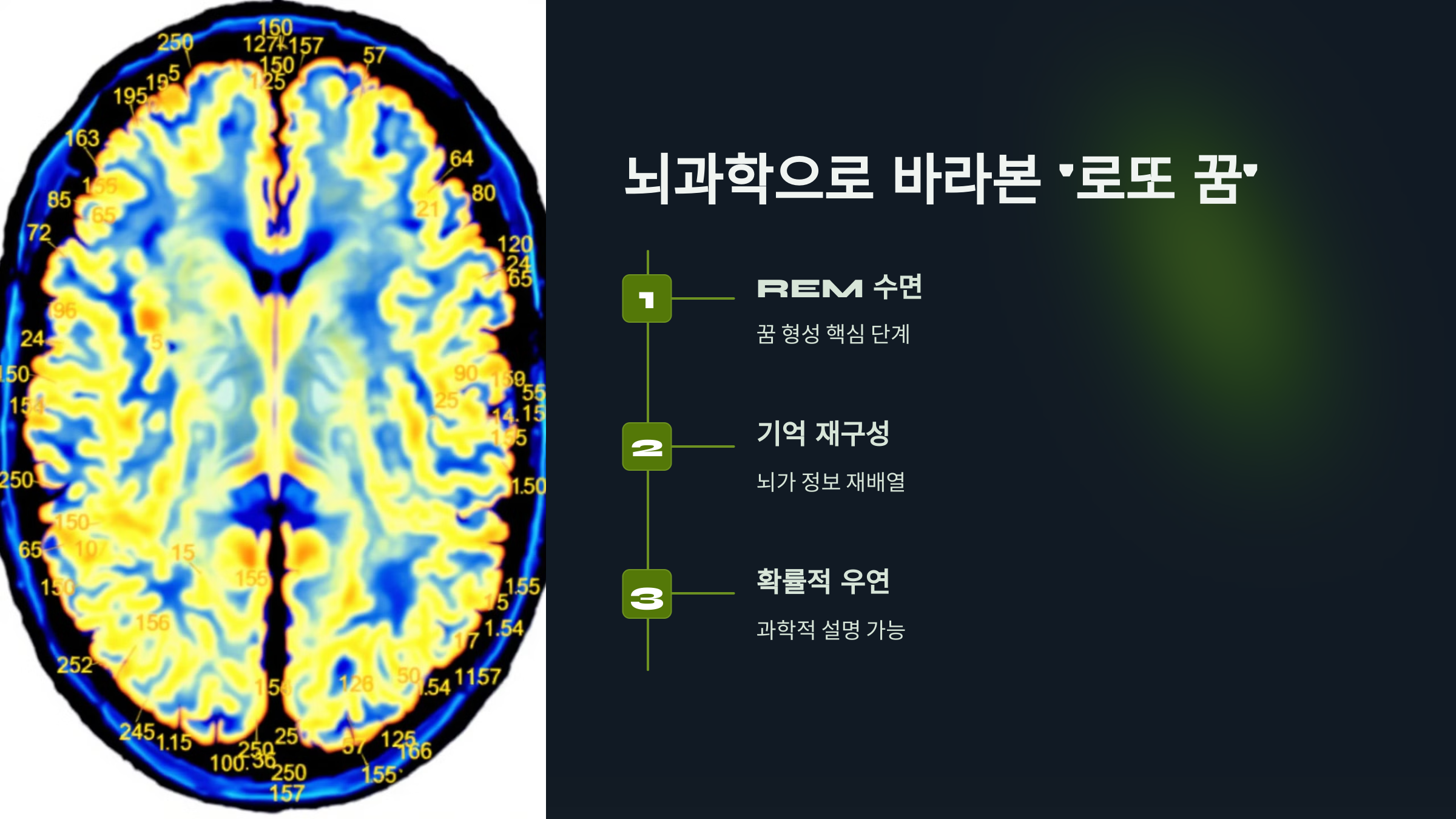 과학으로 바라본 '로또 꿈'