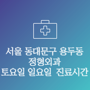 서울 동대문구 용두동 정형외과 주말 토요일 일요일 문여는 병원 진료시간
