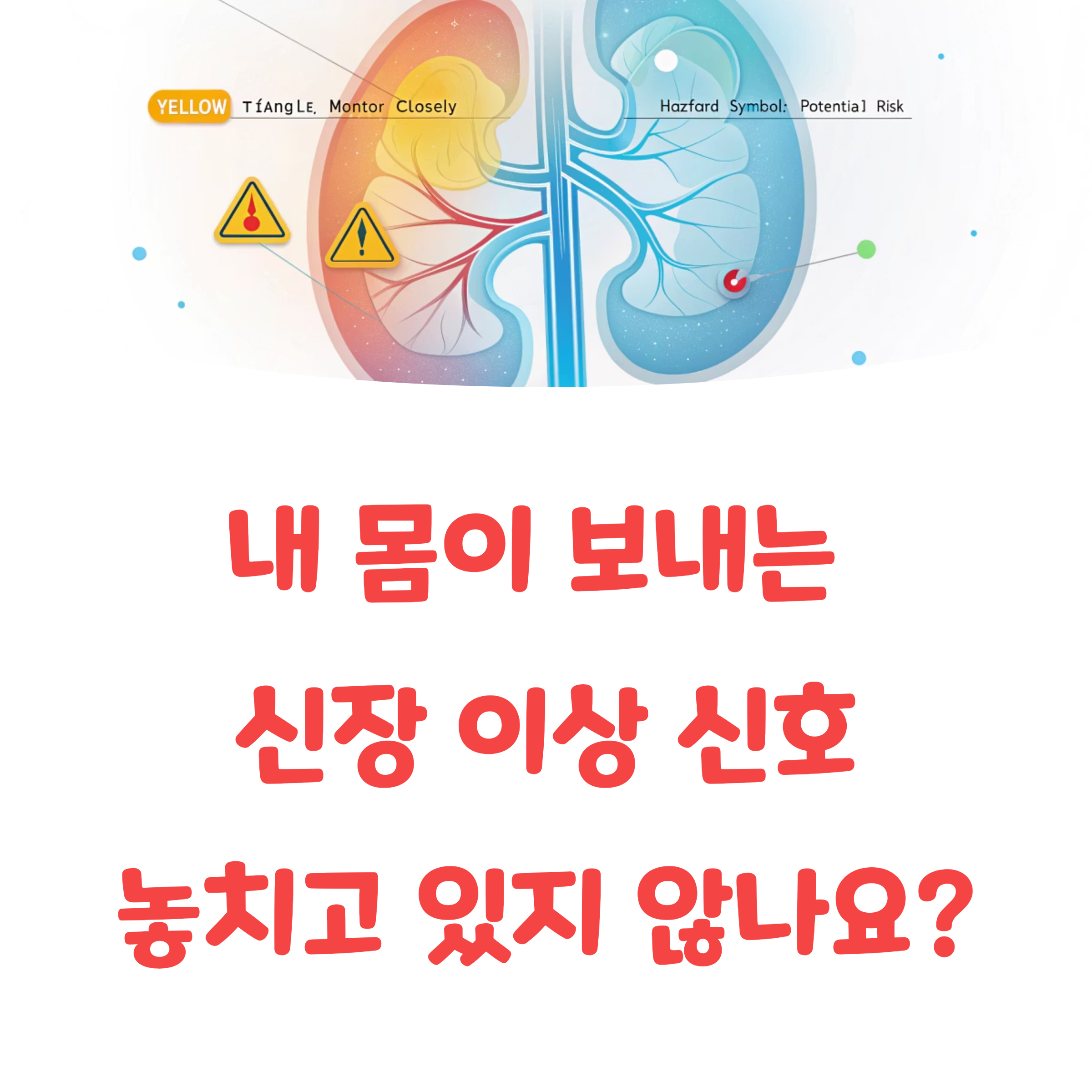 내 몸이 보내는 신장 이상 경고? 놓치기 쉬운 증상들