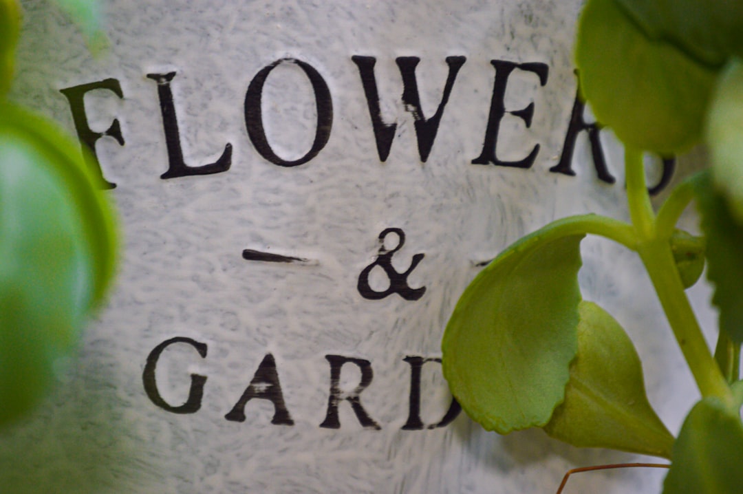 'Caregiver'