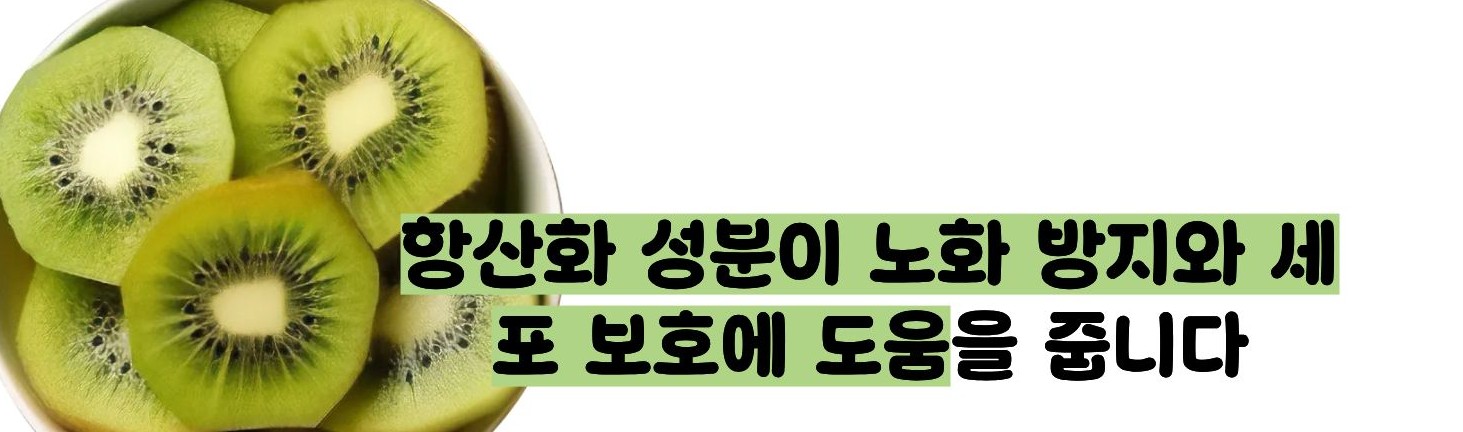 키위 효능