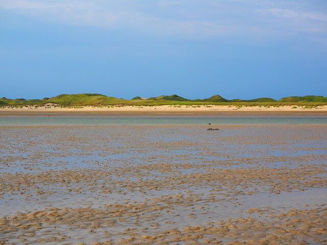 물이-쫙-빠진-바닷가
