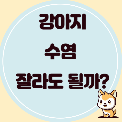 강아지 수염의 역할. 잘라도 될까?