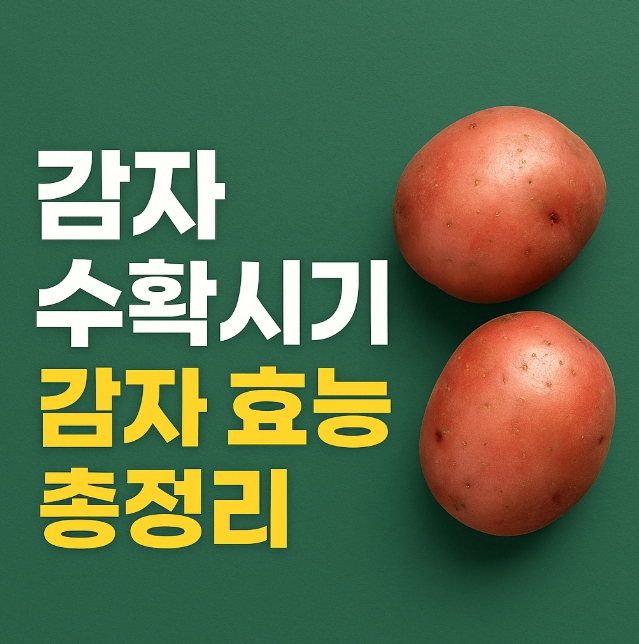 감자
