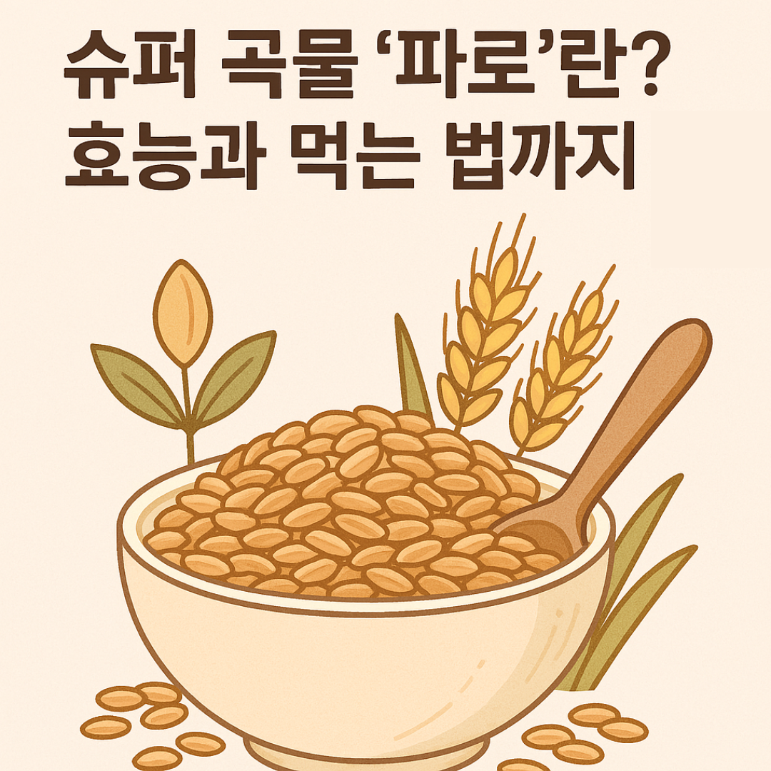 수퍼곡물 파로 효능과 먹는법글 썸네일 이미지