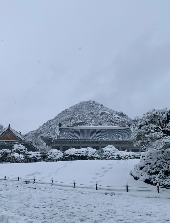 청와대 관람 신청