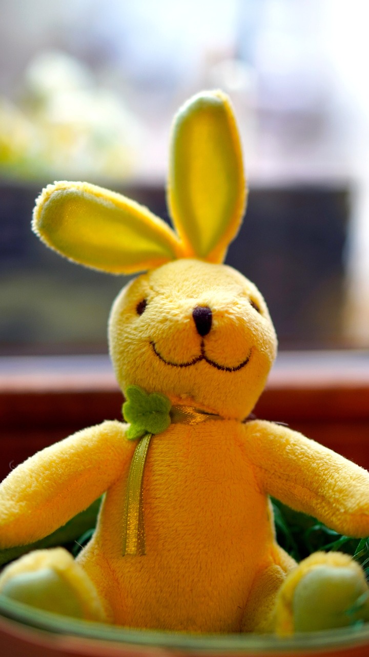 애완 토끼가 좋아하는 장난감 BEST 7 (집에서도 쉽게 만들기)