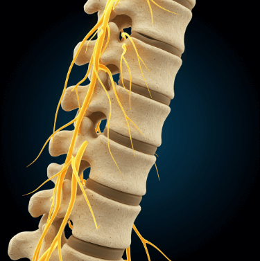 척추 협착증 초기 증상 및 원인1