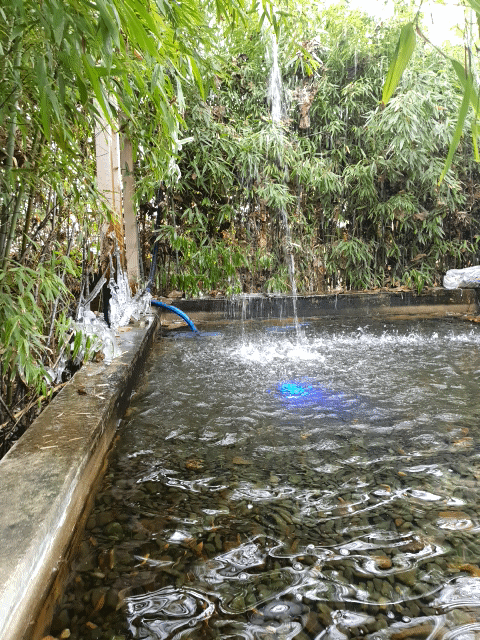 치앙마이 방콕 작은폭포! 지금은 겨울이라서 얼음 생겨버림 ㅎㅎ