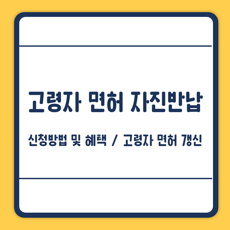 고령자 운전면허증 반납