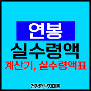 연봉 실수령액