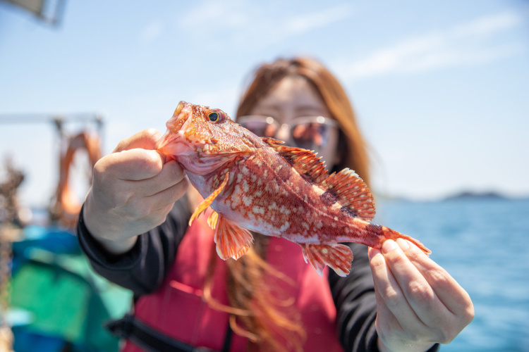 제주도 인기 수상 액티비티 + 할인예약링크 모음: 잠수함, 배낚시, 돌고래투어, 요트투어, 제트보트, 호핑투어, 스쿠버다이빙