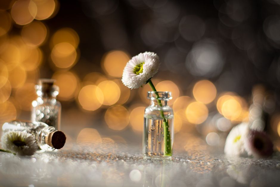 A single white daisy in a glass vial on a reflective surface with warm bokeh lighting background.