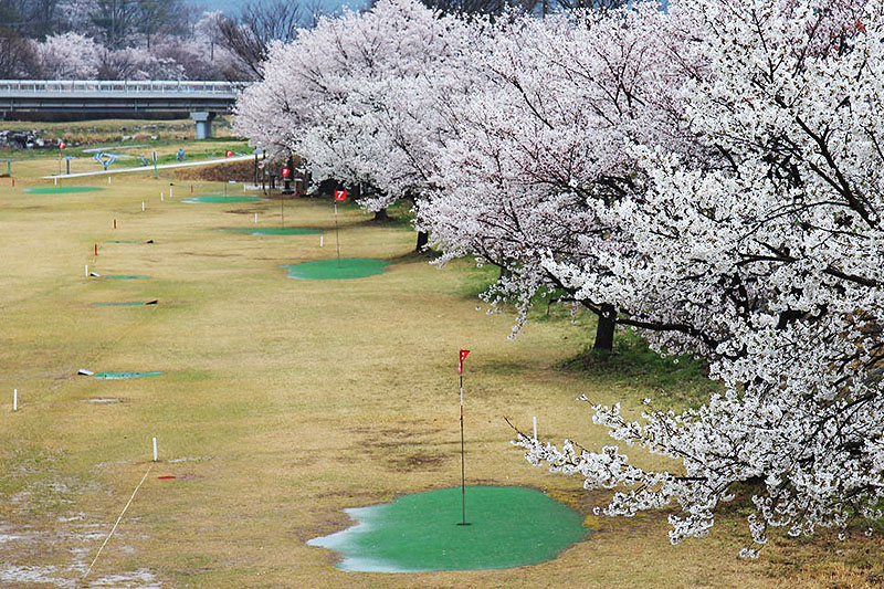 전라남도 곡성 오곡파크골프 소개