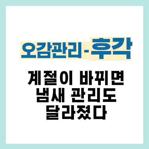 26편. 계절 변화에 따라 집 냄새 관리 방식이 달라지는 이유