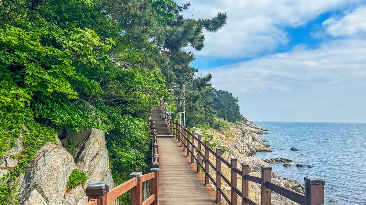 이수도 기암절벽 절경과 출렁다리 거제도 섬이 주는 힐링