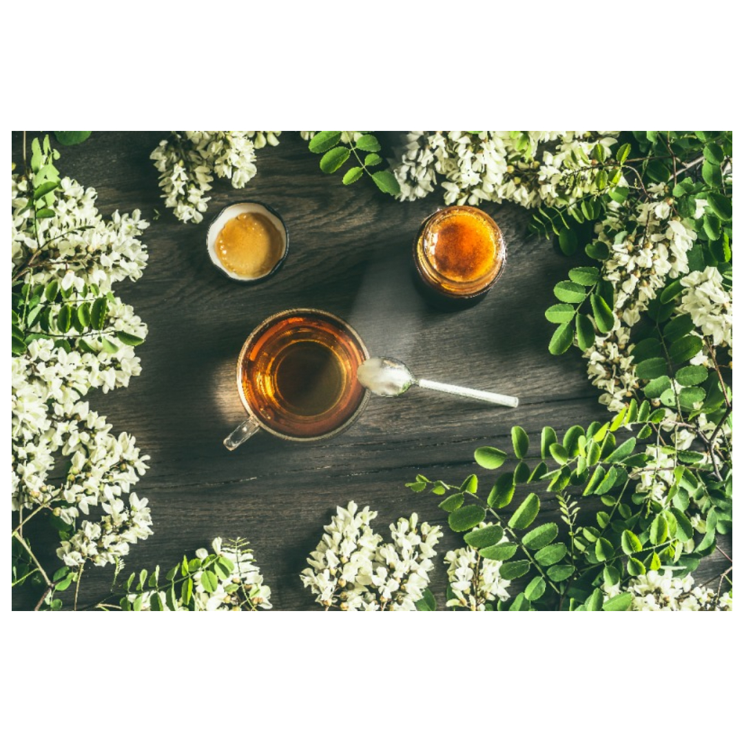 프로폴리스와 관련된 사진입니다.