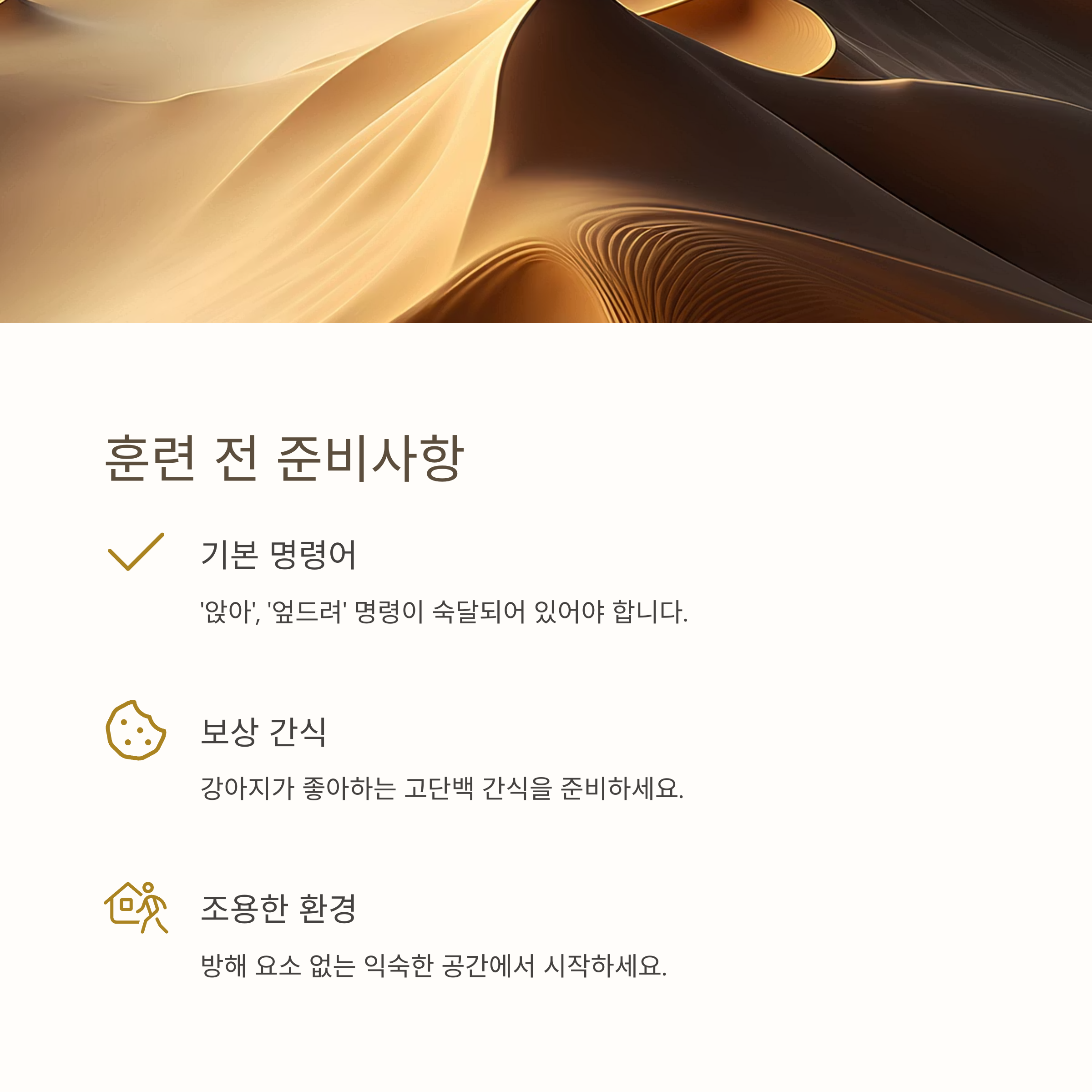 훈련 전 준비사항