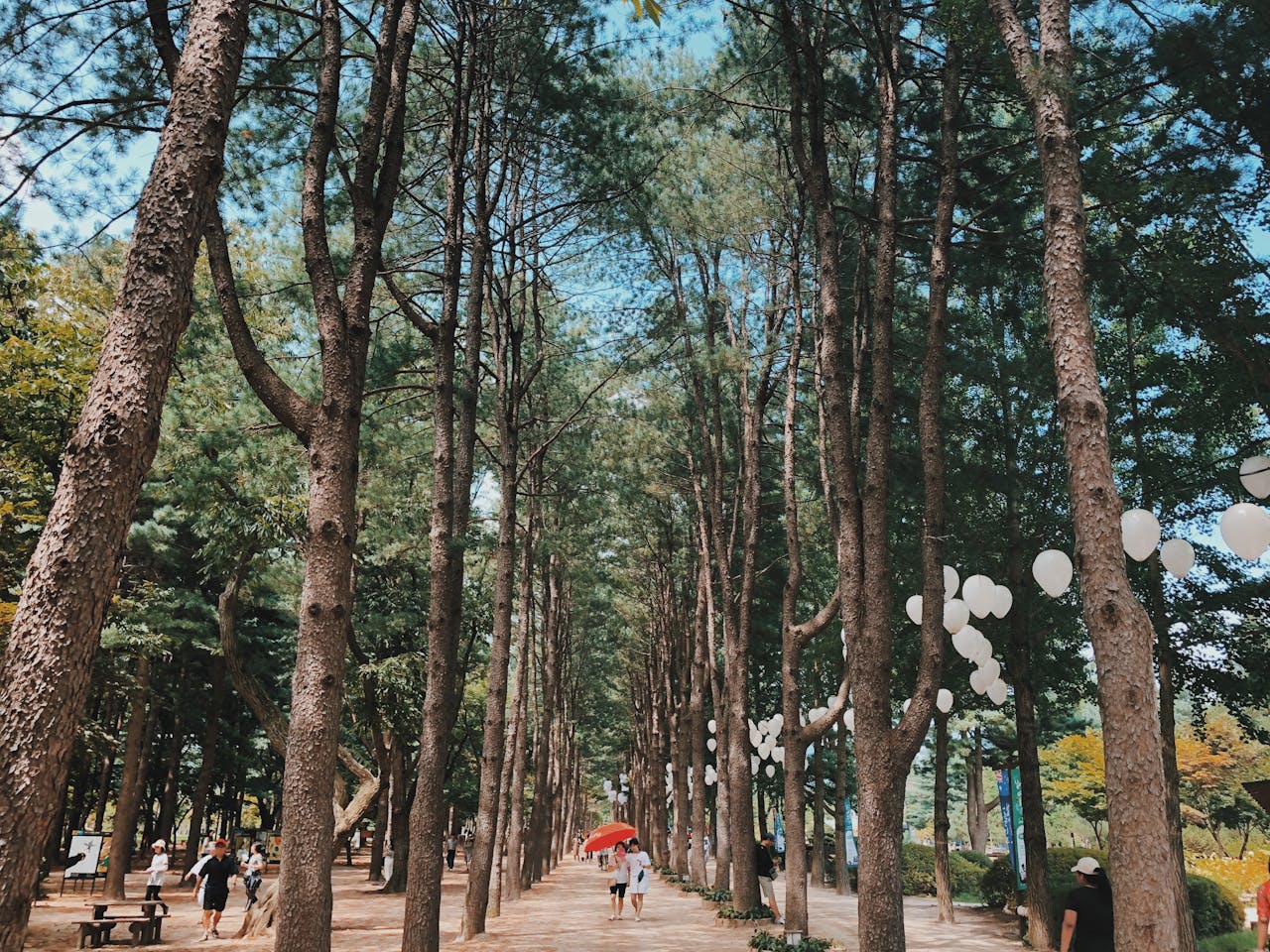 춘천 로컬 풍경