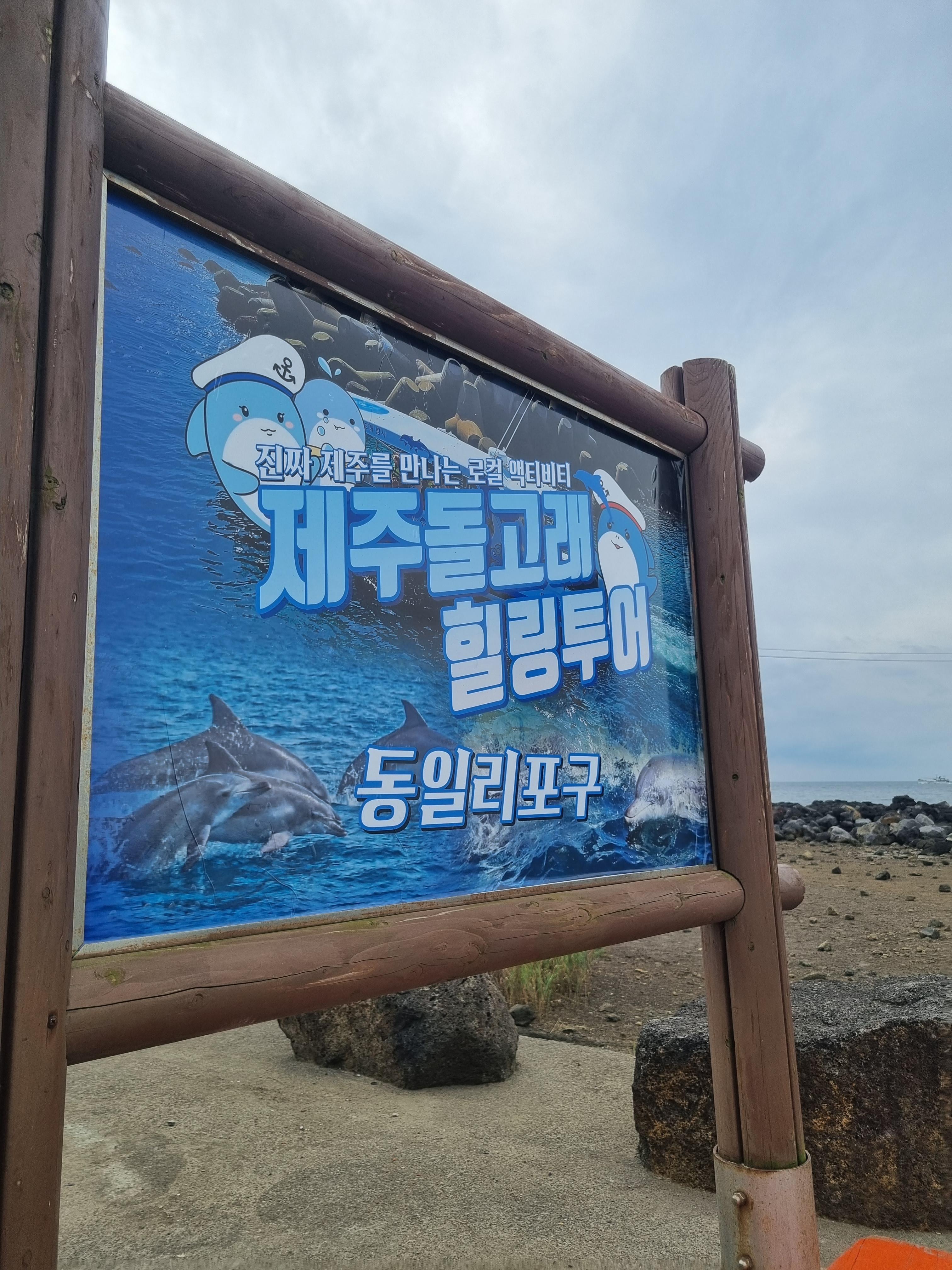 제주돌고래 힐링투어