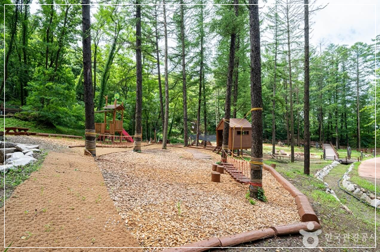 연천 가볼만한곳 베스트10 고대산 자연휴양림