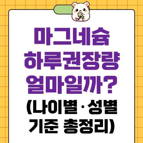 마그네슘 하루 권장량