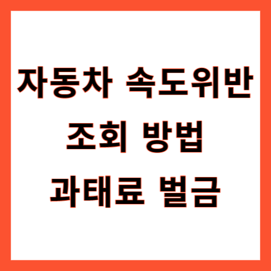 자동차 속도위반