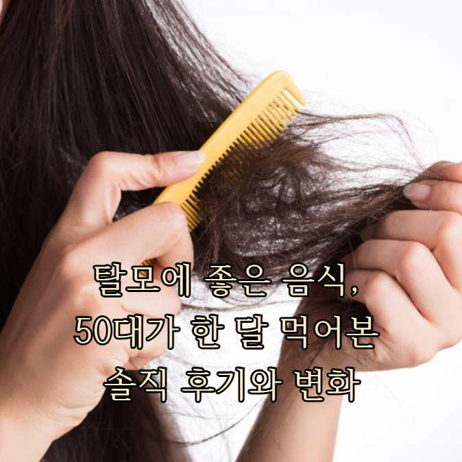 탈모에 좋은 음식, 50대가 한 달 먹어본 솔직 후기와 변화