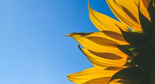 산업안전기사 시험 일정과 합격률