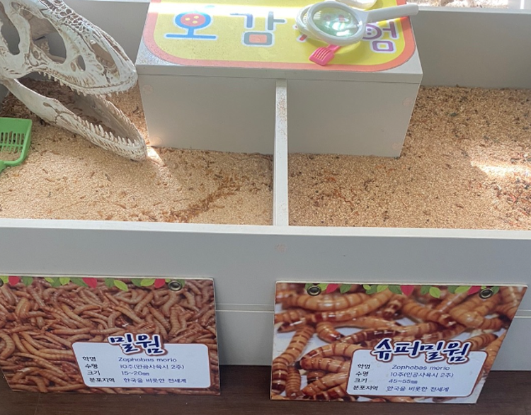 센트럴 곤충 생태농장