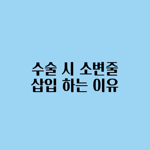 수술 시 소변줄 삽입 하는 이유