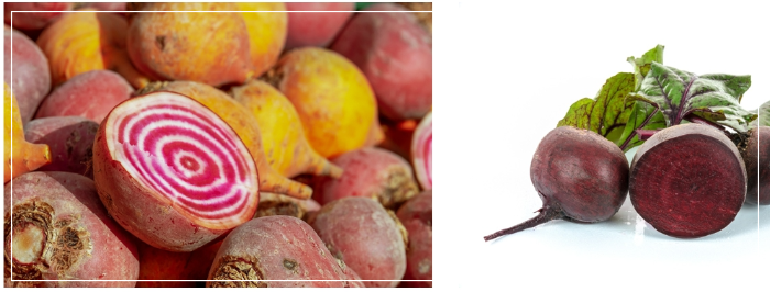 비트 먹는 방법