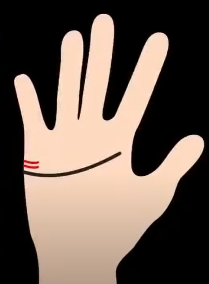 손금 보는 방법 결혼선