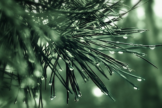 에어컨 청소업체 비용