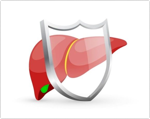 alt 수치가 높으면