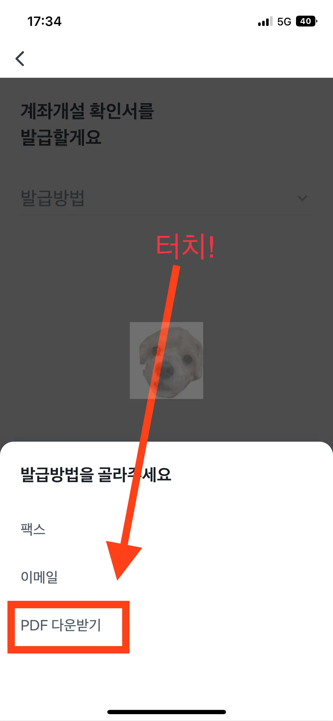 토스뱅크 통장사본 발급방법 3가지