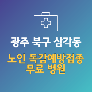 광주 북구 삼각동 노인 독감예방접종 무료 병원 (인플루엔자 무료 접종 대상 날짜)