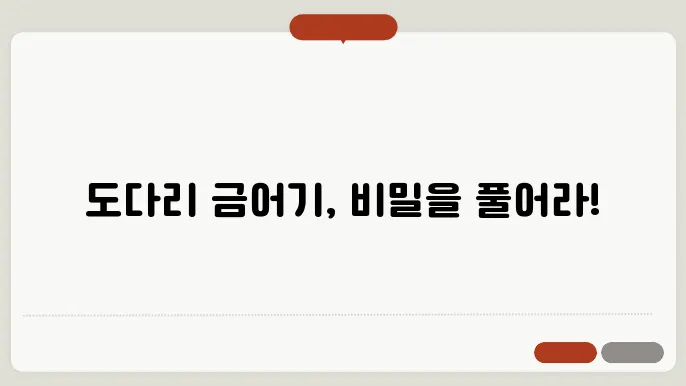 도다리 금어얧